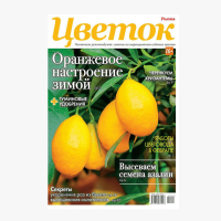 2_238-min
