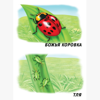 2_89_2-min